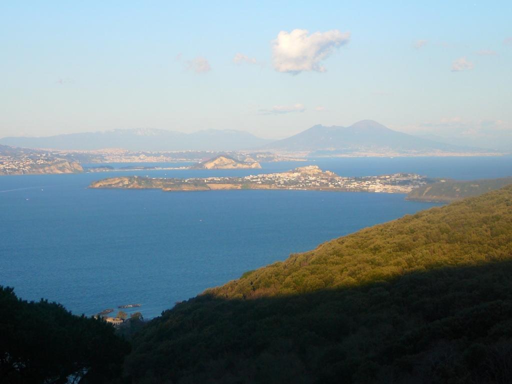 Insel Ischia. Landschaft