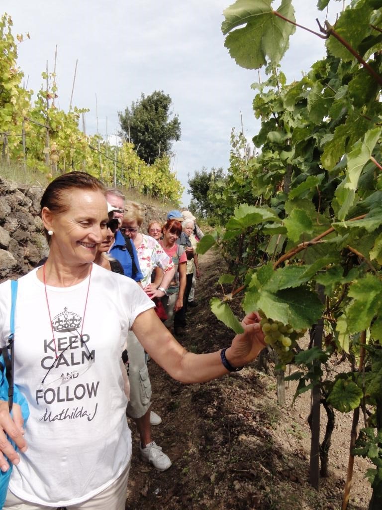 Ischia. Wein-Kultur-Wanderung